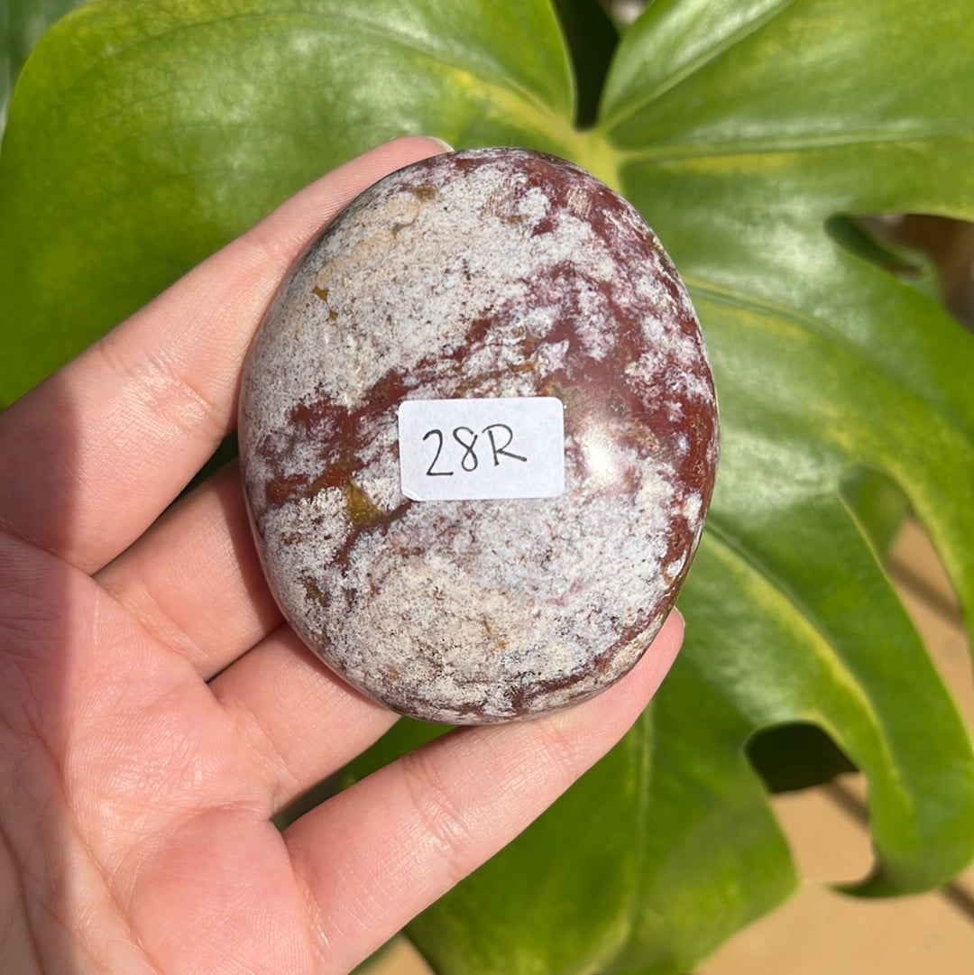 Ocean Jasper Palm