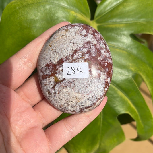 Ocean Jasper Palm