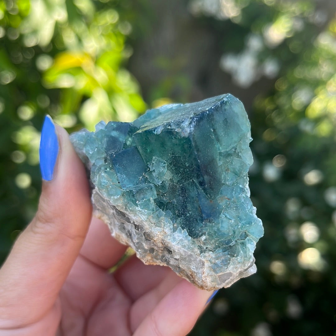 Cubic Green Fluorite Cluster